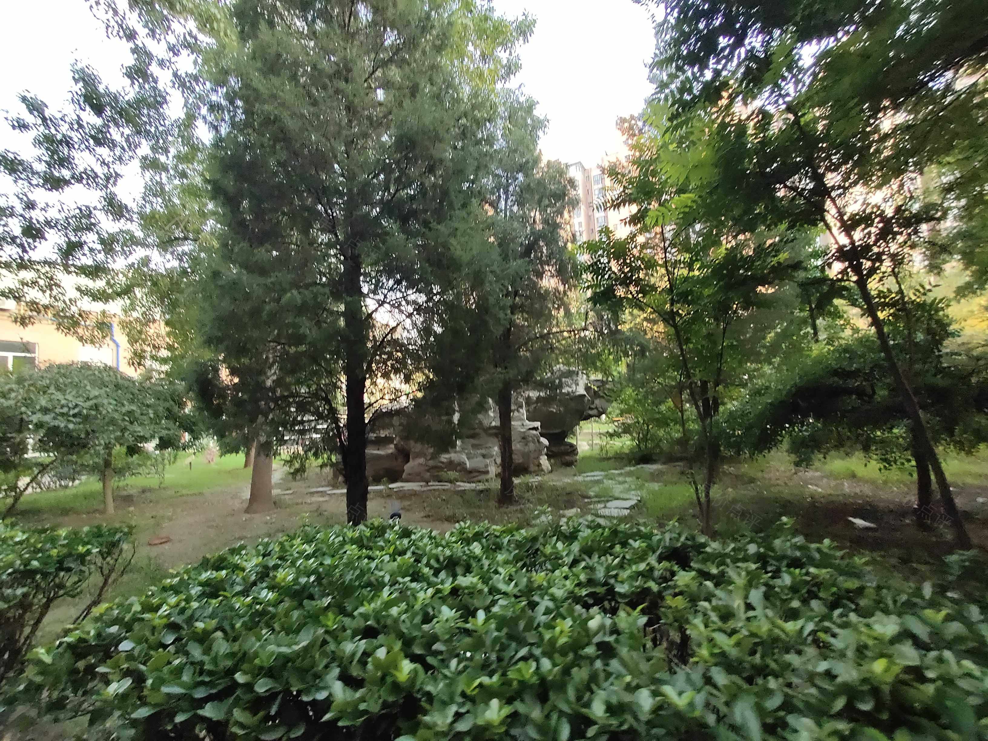 金色漫香郡(北区)