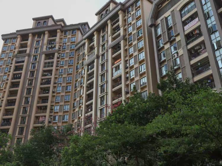 翡翠绿洲森林半岛