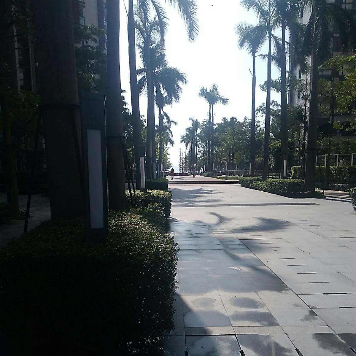 半岛城邦花园(一期)