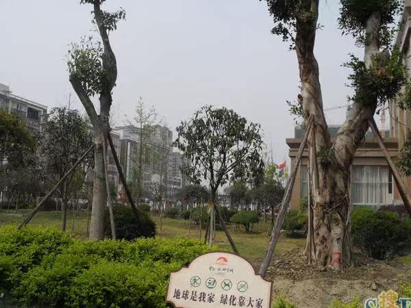 宝龙水岸金城