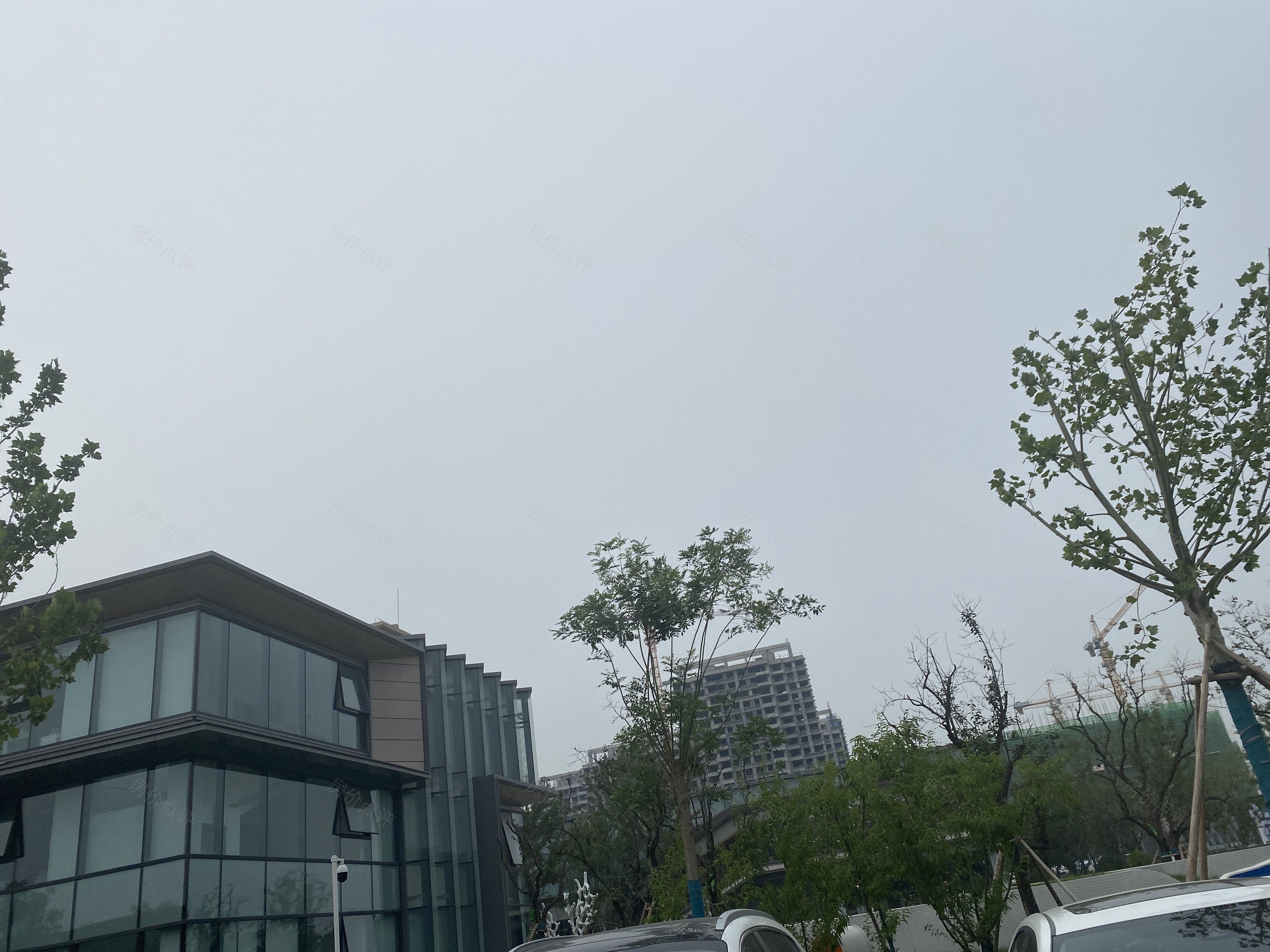 中粮祥云