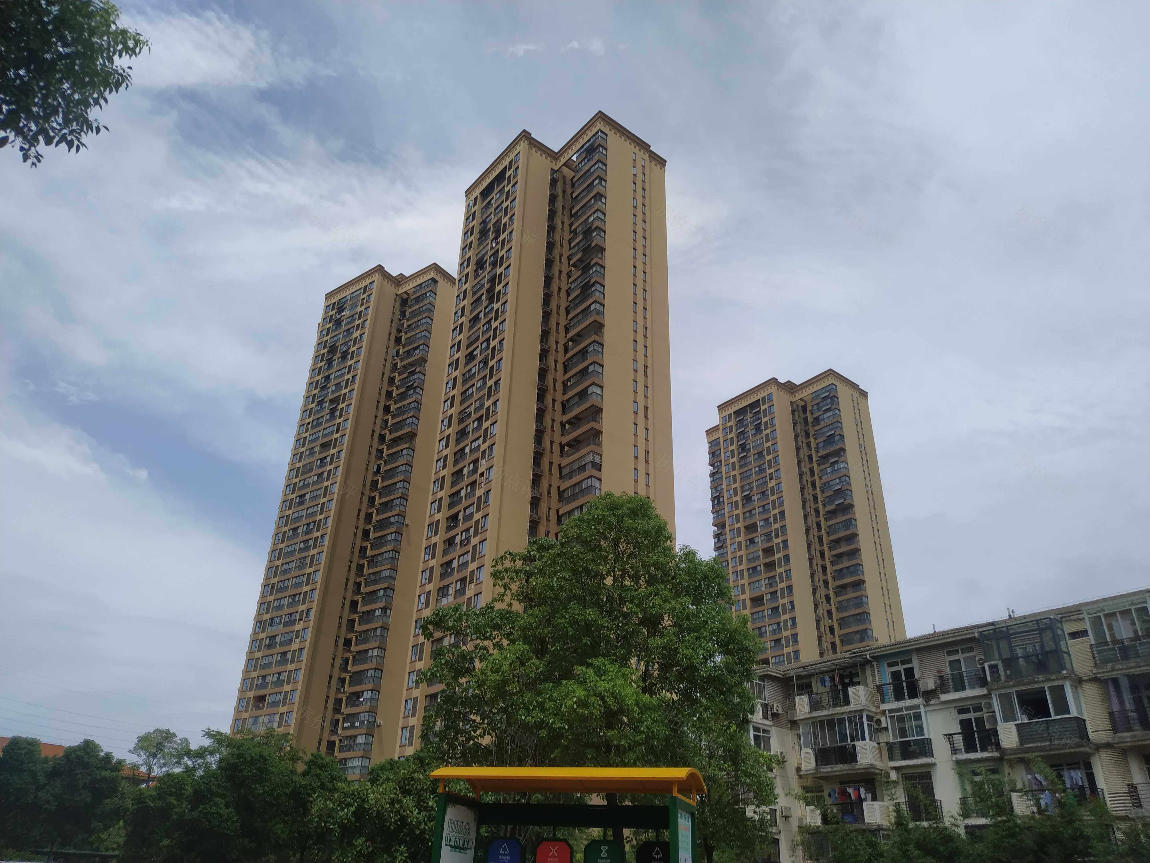 美加橘郡